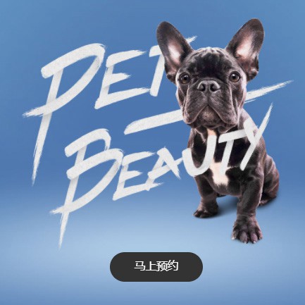 白云区宠物中心小程序开发